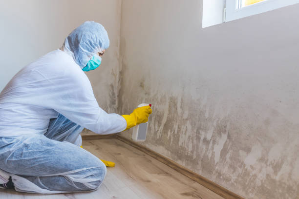Hvac And Air Duct Mold Remediation inspection of HVAC system in Valley Stream